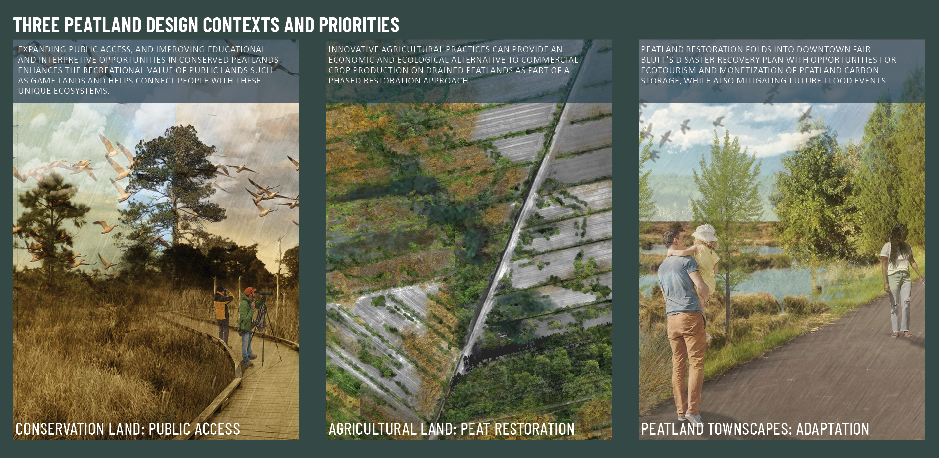 Three Peatland Design Contexts and Priorities